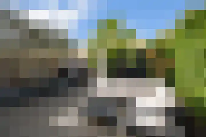 Rommepad 3 Rotterdam thumbnail 5