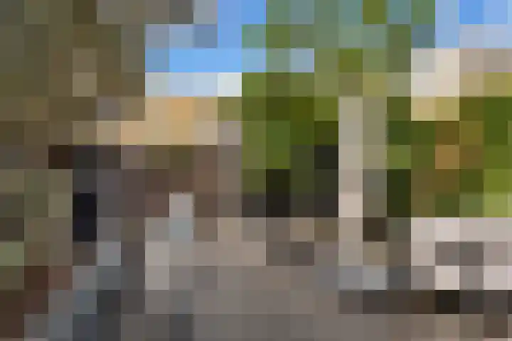 Rommepad 3 Rotterdam thumbnail 7