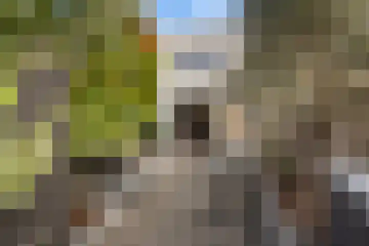 Rommepad 3 Rotterdam thumbnail 8