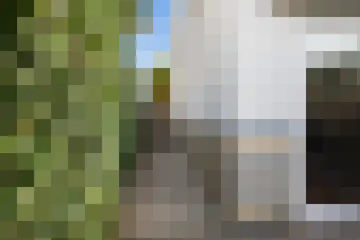 Rommepad 3 Rotterdam thumbnail 9