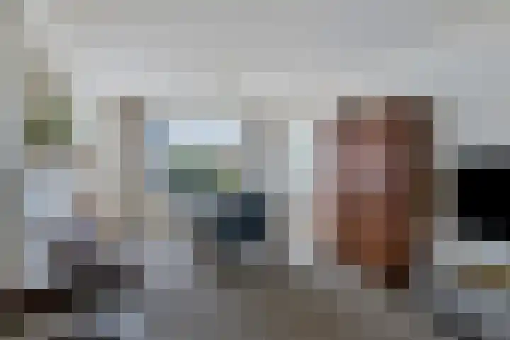 Rommesingel 14 Pijnacker thumbnail 10
