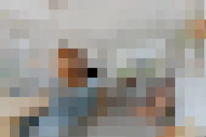 Rommesingel 14 Pijnacker thumbnail 11