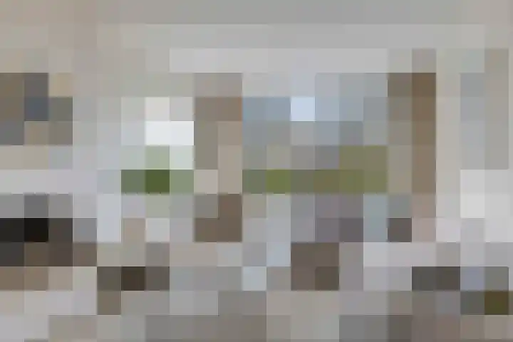 Rommesingel 14 Pijnacker thumbnail 12