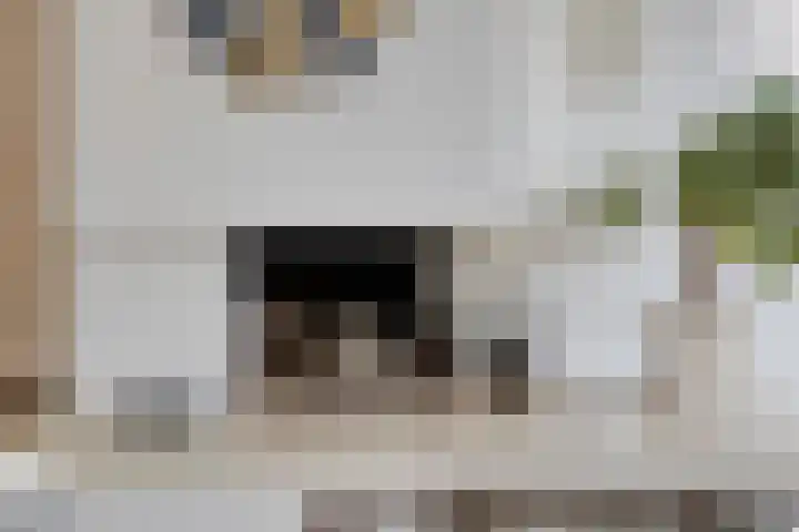 Rommesingel 14 Pijnacker thumbnail 13