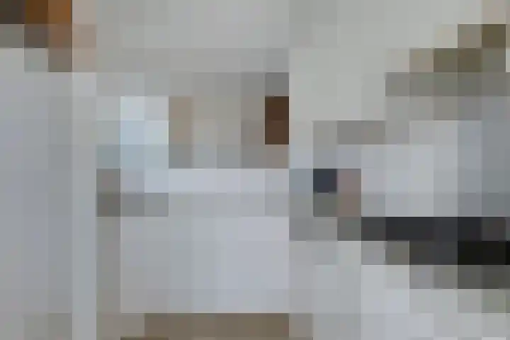 Rommesingel 14 Pijnacker thumbnail 14