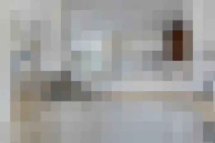 Rommesingel 14 Pijnacker thumbnail 15