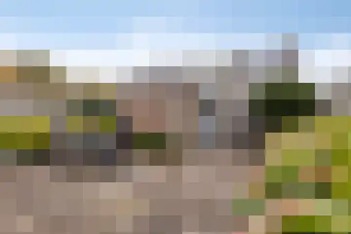 Rommesingel 14 Pijnacker thumbnail 18