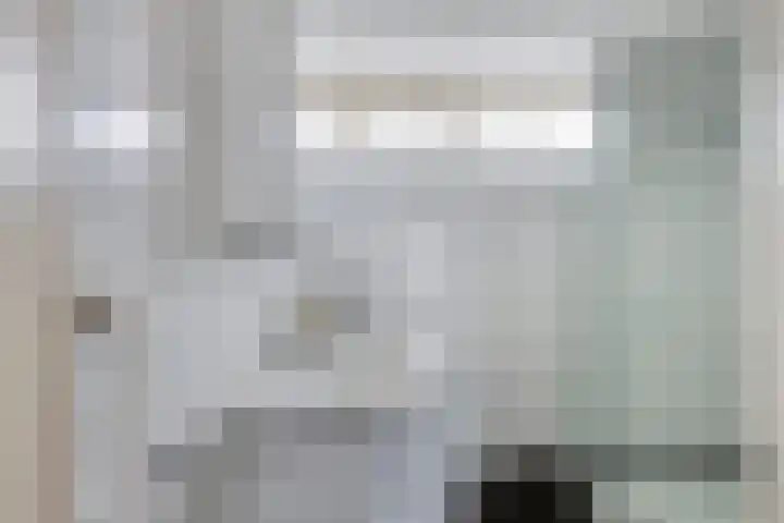 Rommesingel 14 Pijnacker thumbnail 20