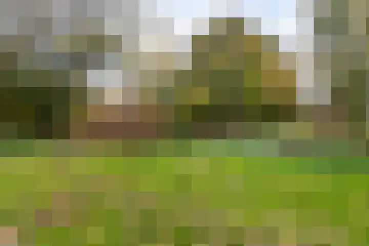 Rommesingel 14 Pijnacker thumbnail 30