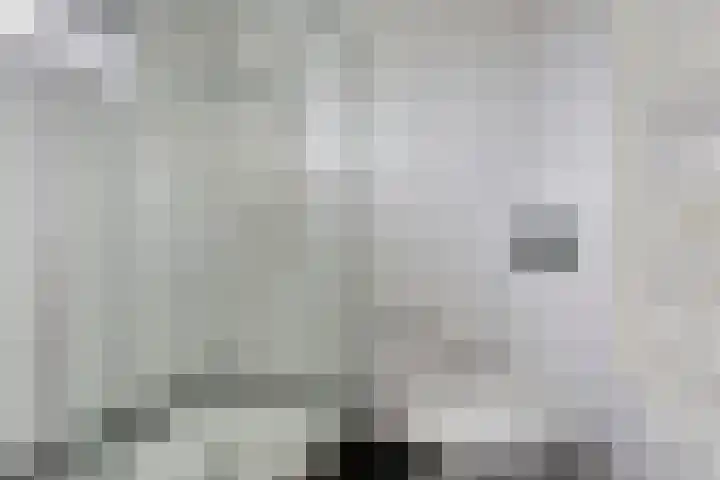 Rommesingel 14 Pijnacker thumbnail 5