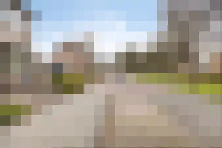 Rommesingel 14 Pijnacker thumbnail 7
