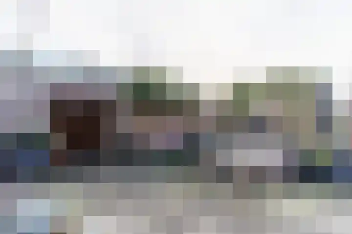 Rommesingel 26 Pijnacker thumbnail 11