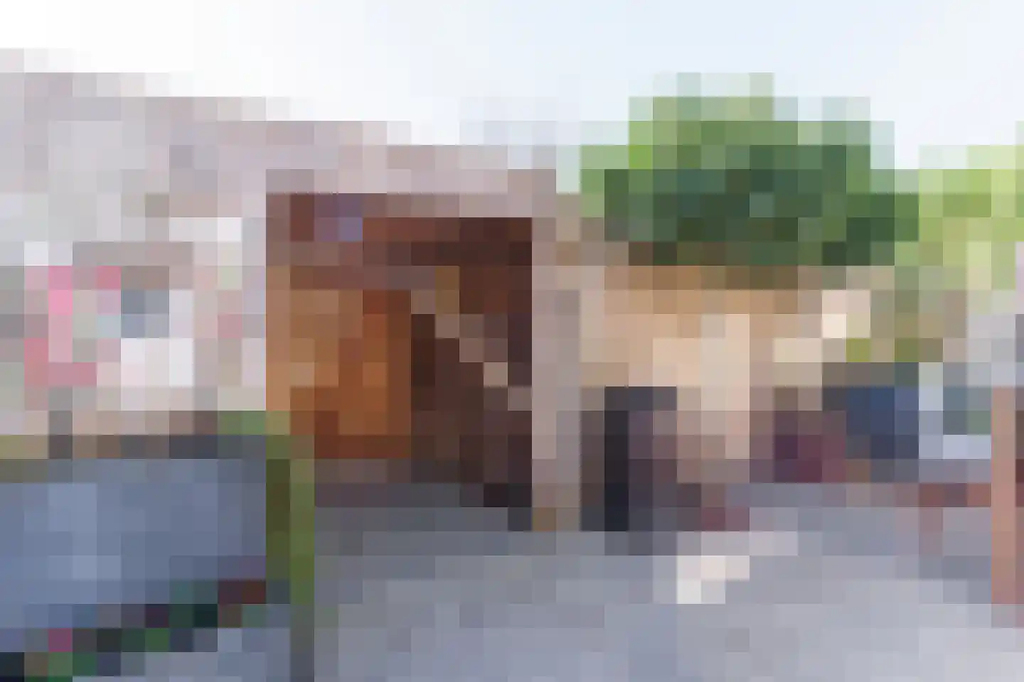 Rommesingel 26 Pijnacker thumbnail 12