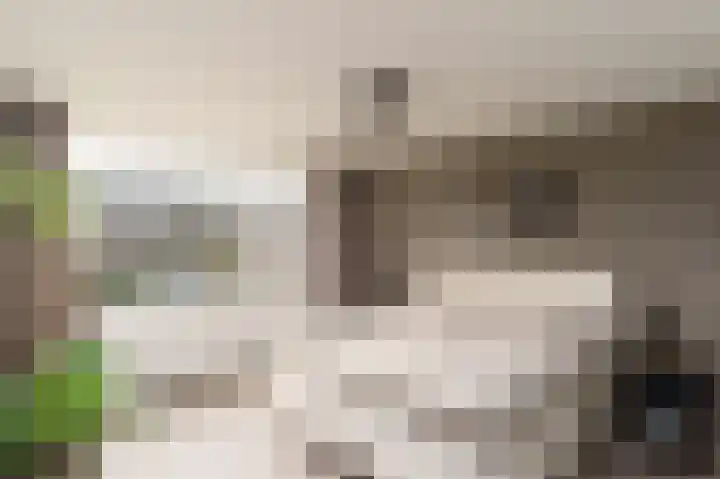 Rommesingel 26 Pijnacker thumbnail 13