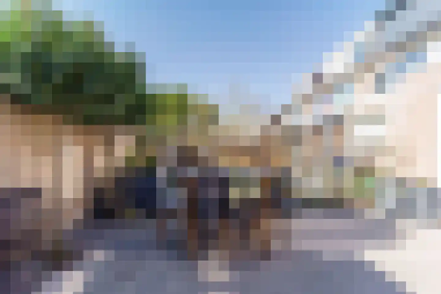 Rommesingel 26 Pijnacker thumbnail 13