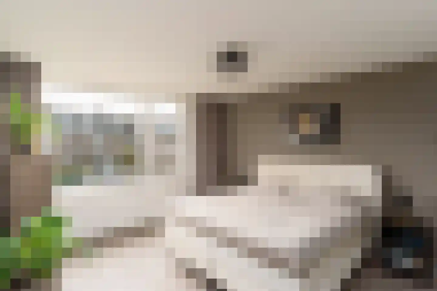 Rommesingel 26 Pijnacker thumbnail 14