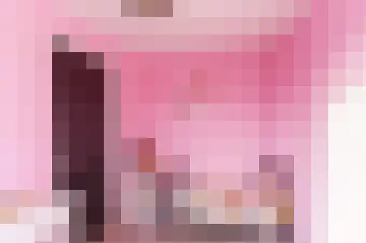 Rommesingel 26 Pijnacker thumbnail 15