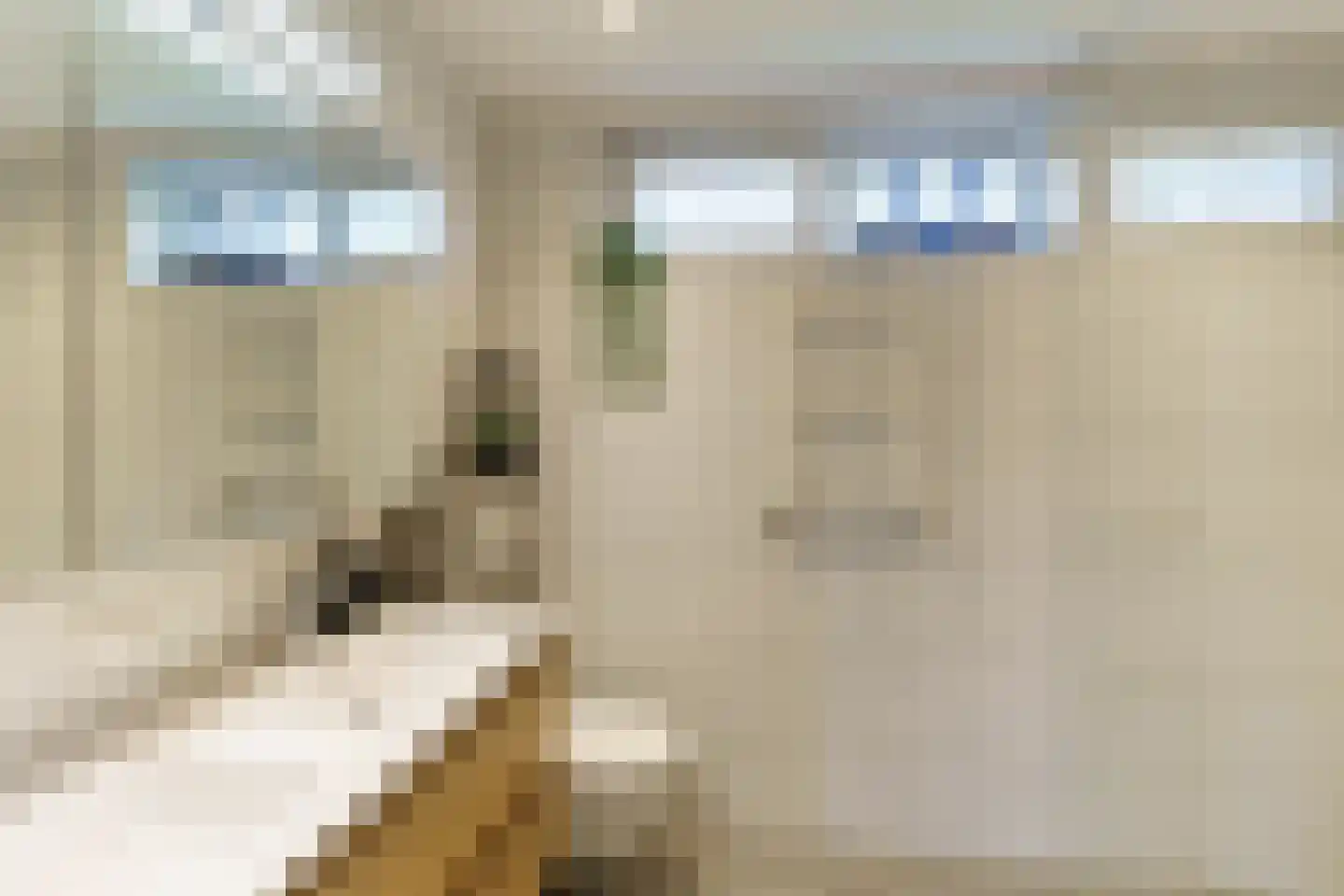 Rommesingel 26 Pijnacker thumbnail 18