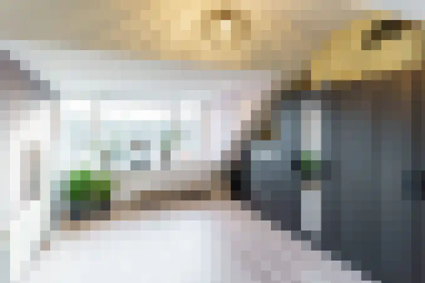 Rommesingel 26 Pijnacker thumbnail 24