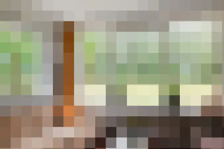 Rommesingel 32 Pijnacker thumbnail 13