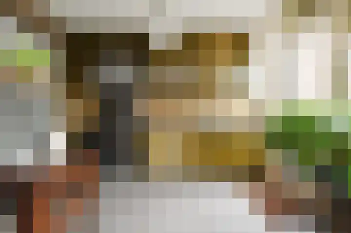 Rommesingel 32 Pijnacker thumbnail 21