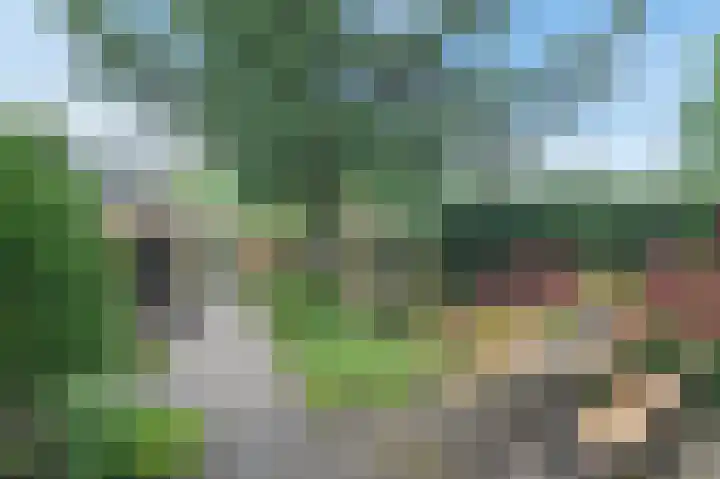 Rommesingel 32 Pijnacker thumbnail 24