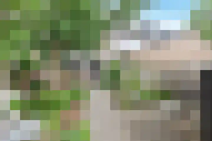 Rommesingel 32 Pijnacker thumbnail 25