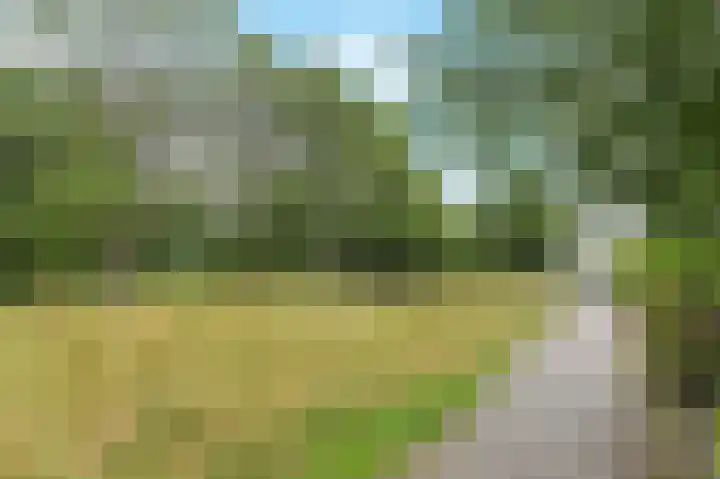 Rommesingel 32 Pijnacker thumbnail 5