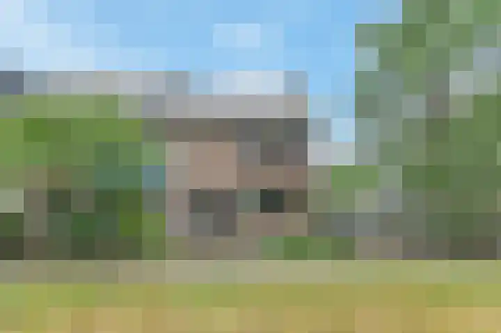 Rommesingel 32 Pijnacker thumbnail 6
