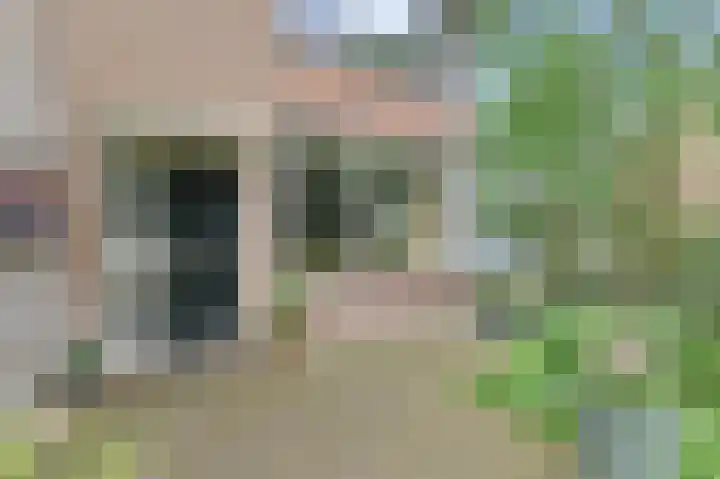 Rommesingel 32 Pijnacker thumbnail 7