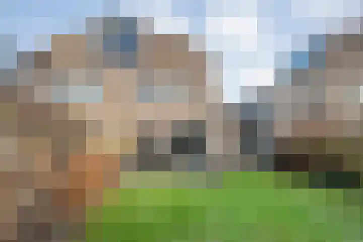 Rommestraat 14 Zwolle thumbnail 37