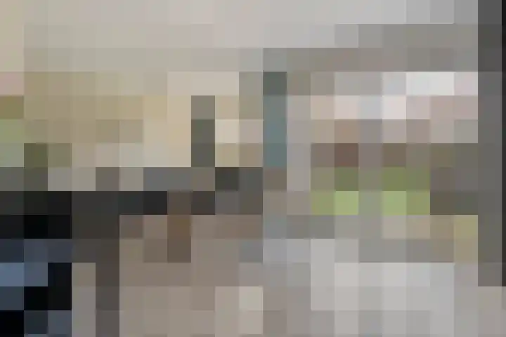Rommestraat 14 Zwolle thumbnail 8