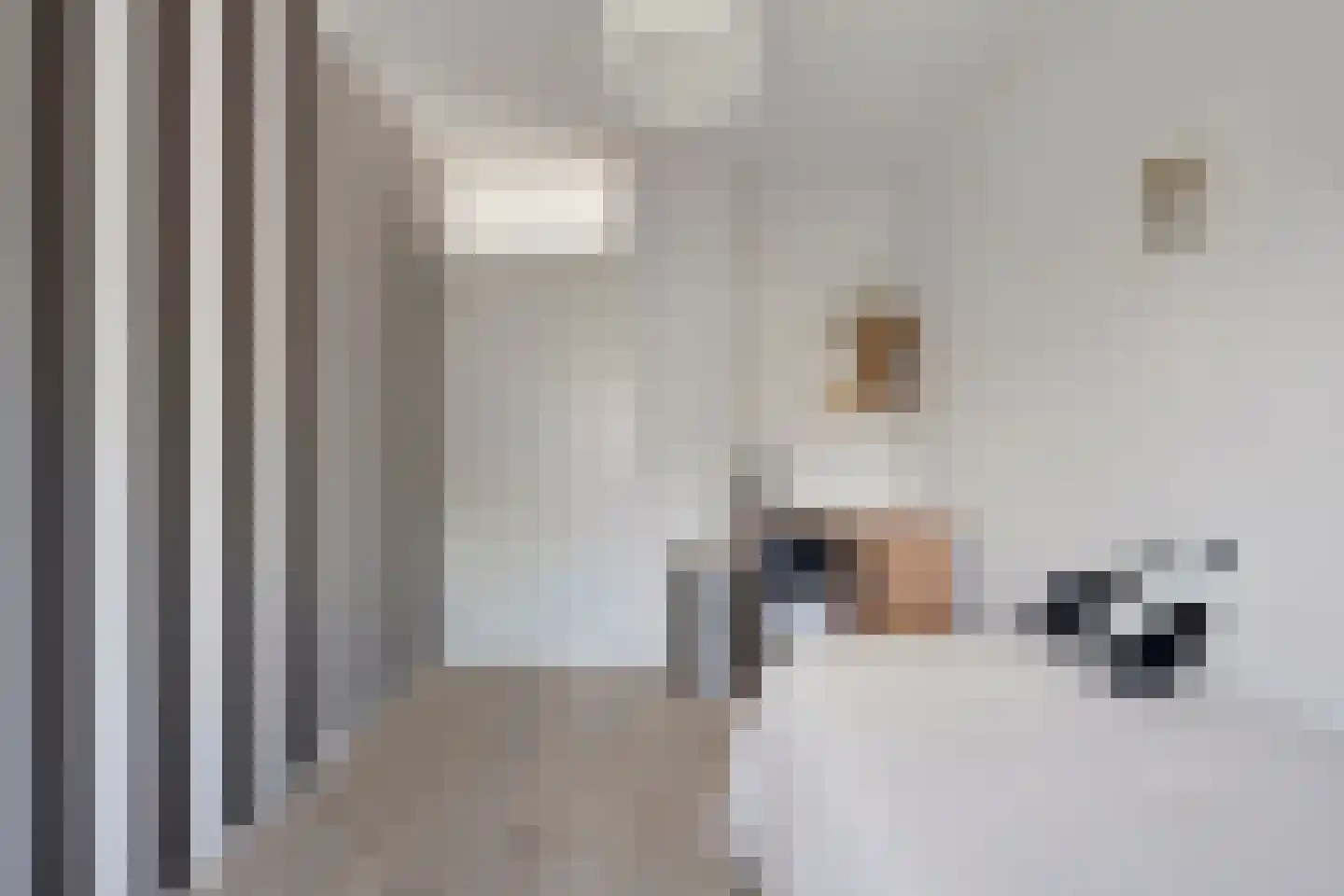 Rommestraat 18 Zwolle thumbnail 19