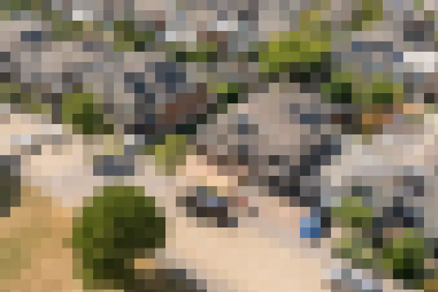 Rommestraat 18 Zwolle thumbnail 39