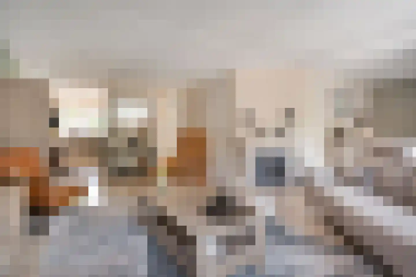 Rommestraat 18 Zwolle thumbnail 4