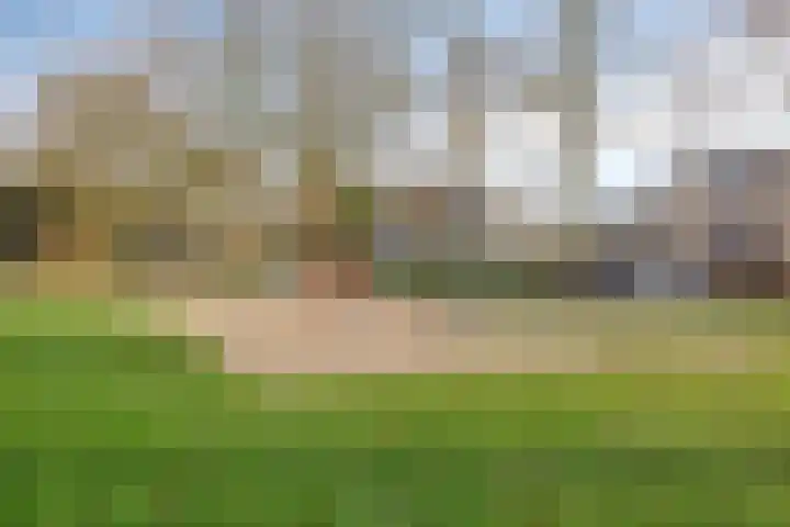 Rommestraat 9 Zwolle thumbnail 27