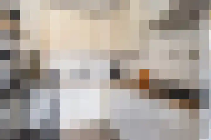 Rommestraat 9 Zwolle thumbnail 7