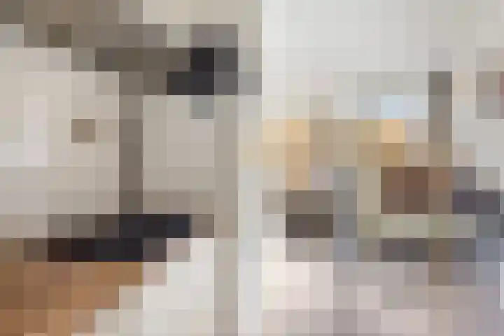 Rommestraat 9 Zwolle thumbnail 9