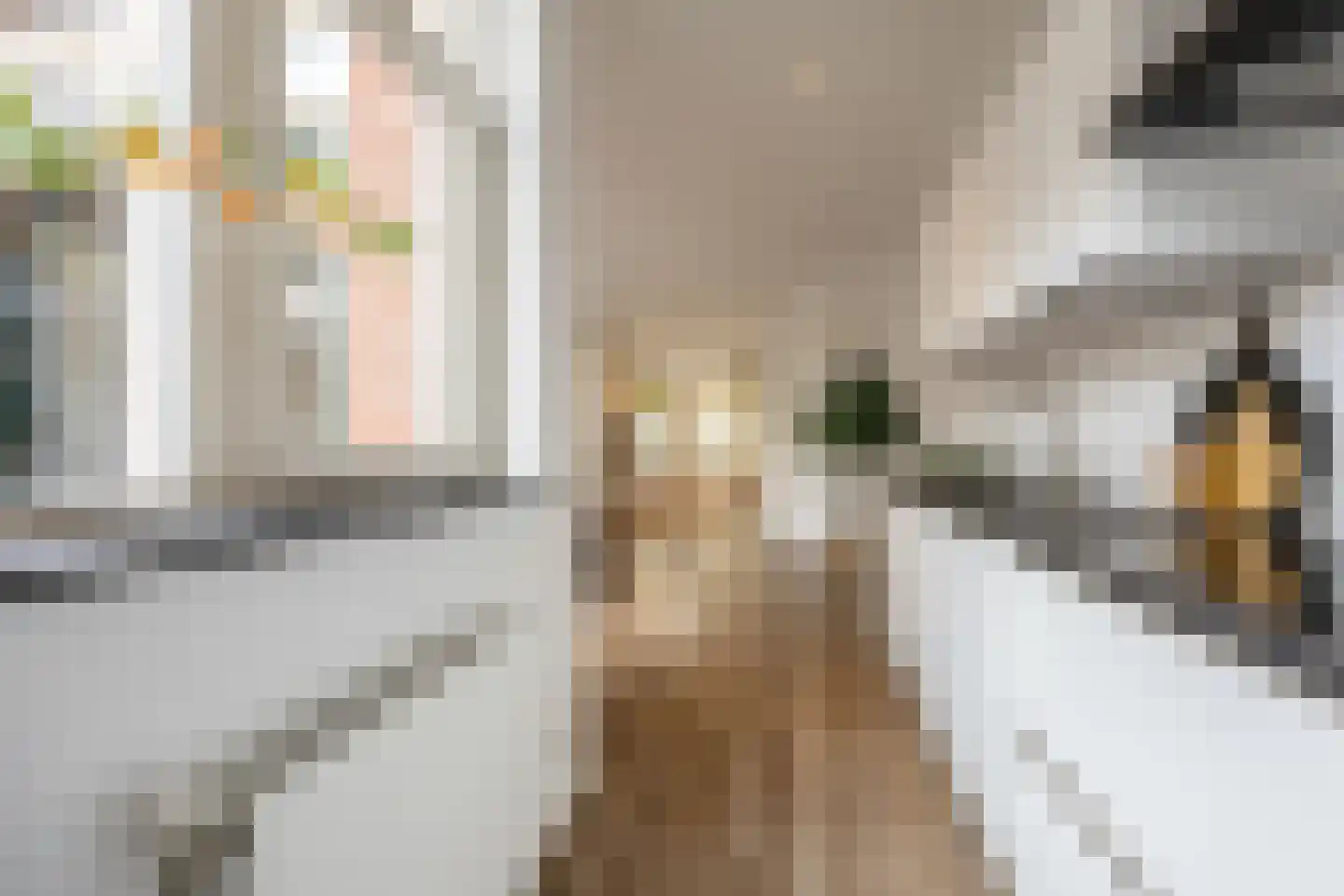 Romolenstraat 39 Haarlem thumbnail 11