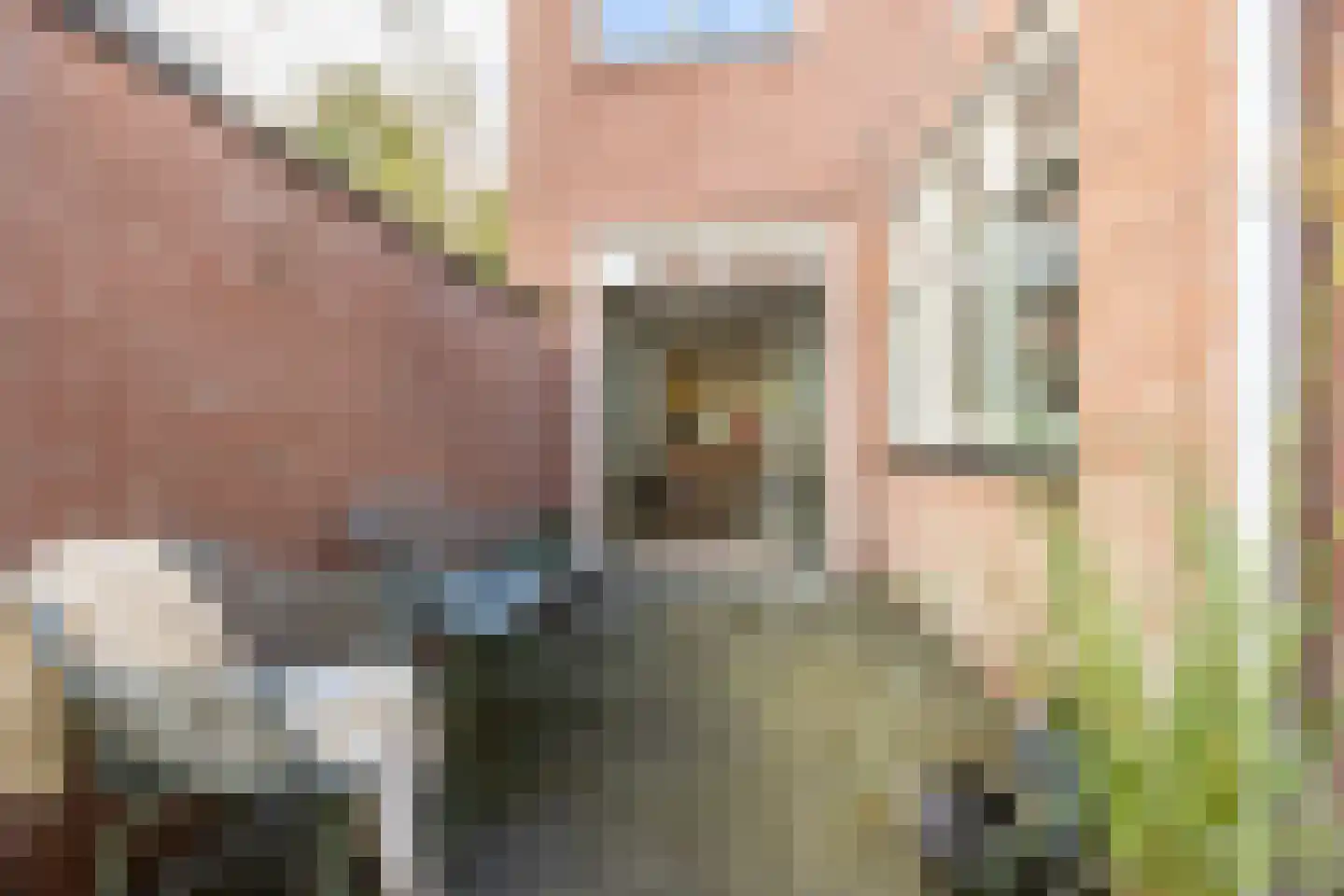 Romolenstraat 39 Haarlem thumbnail 13
