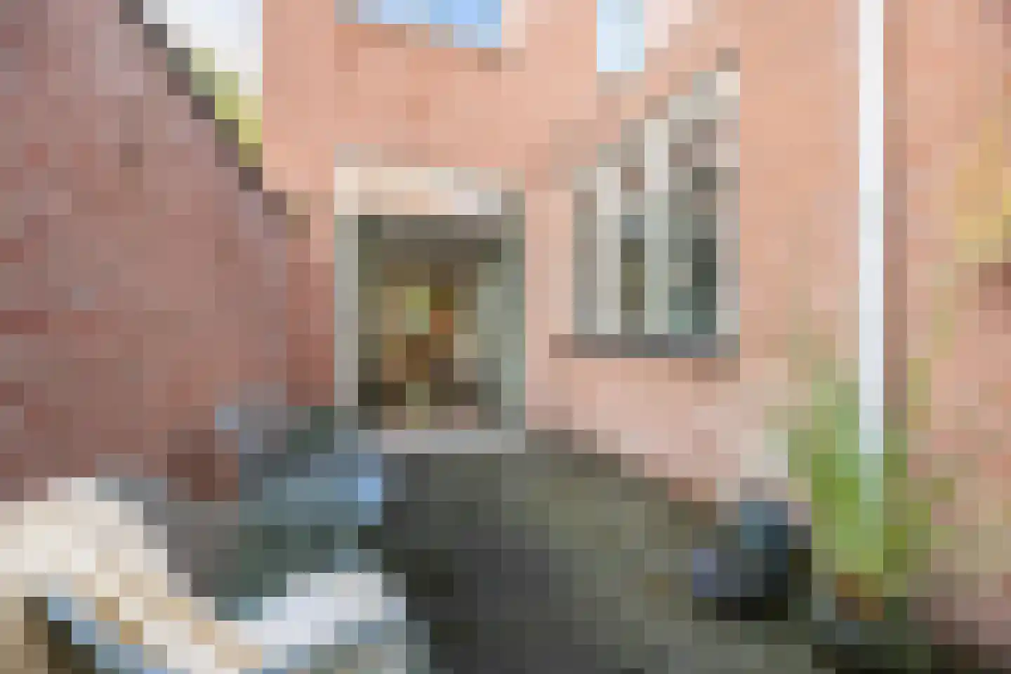 Romolenstraat 39 Haarlem thumbnail 14