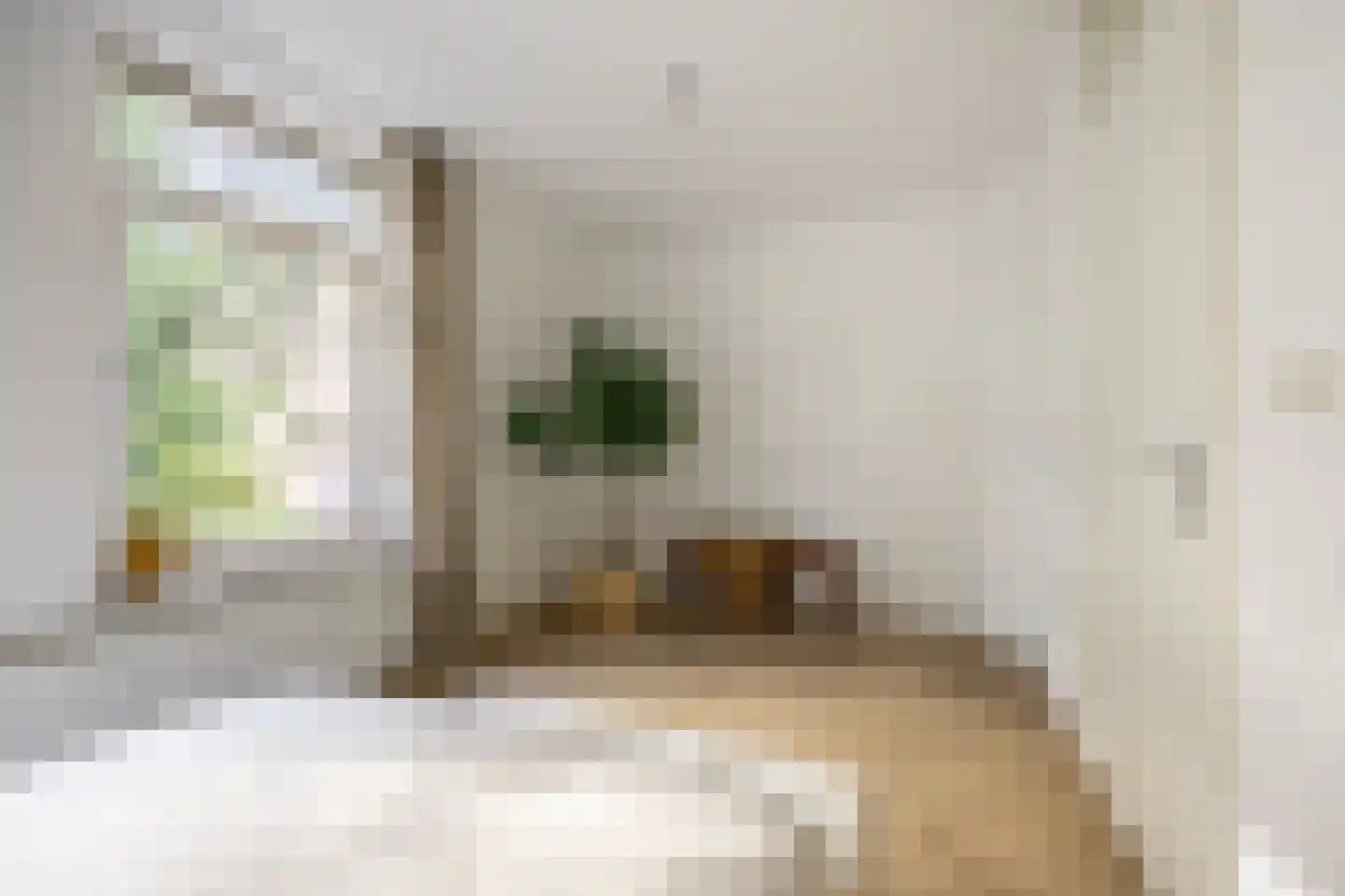 Romolenstraat 39 Haarlem thumbnail 18