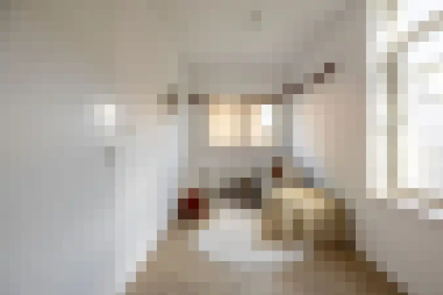 Romolenstraat 39 Haarlem thumbnail 23
