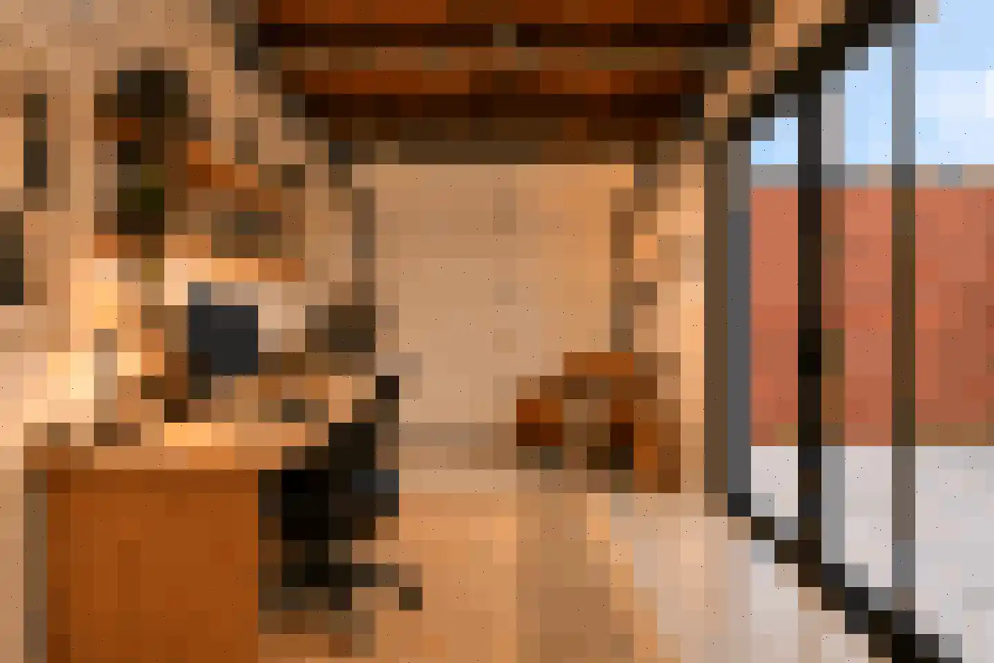 Romolenstraat 39 Haarlem thumbnail 39
