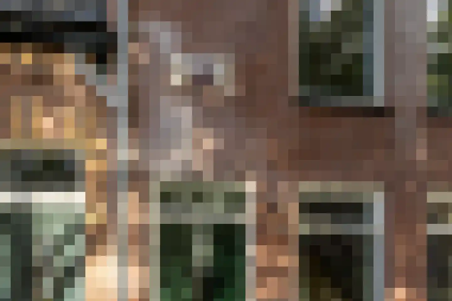 Romolenstraat 39 Haarlem thumbnail 42