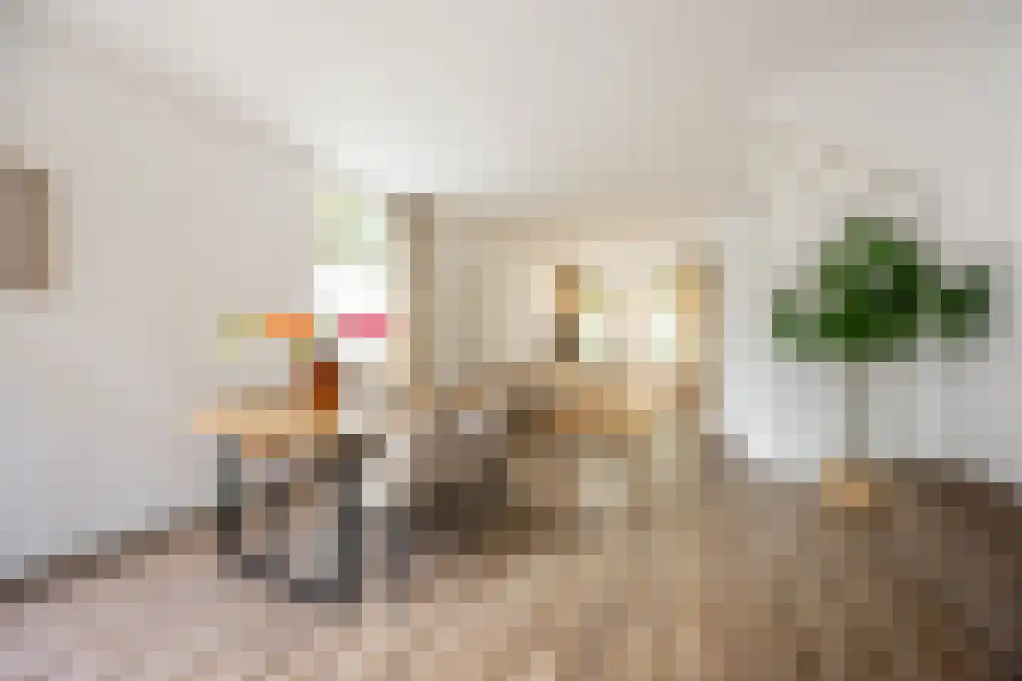 Romolenstraat 39 Haarlem thumbnail 8