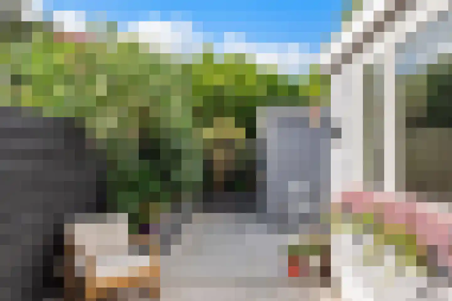 Romolenstraat 50 Haarlem thumbnail 16
