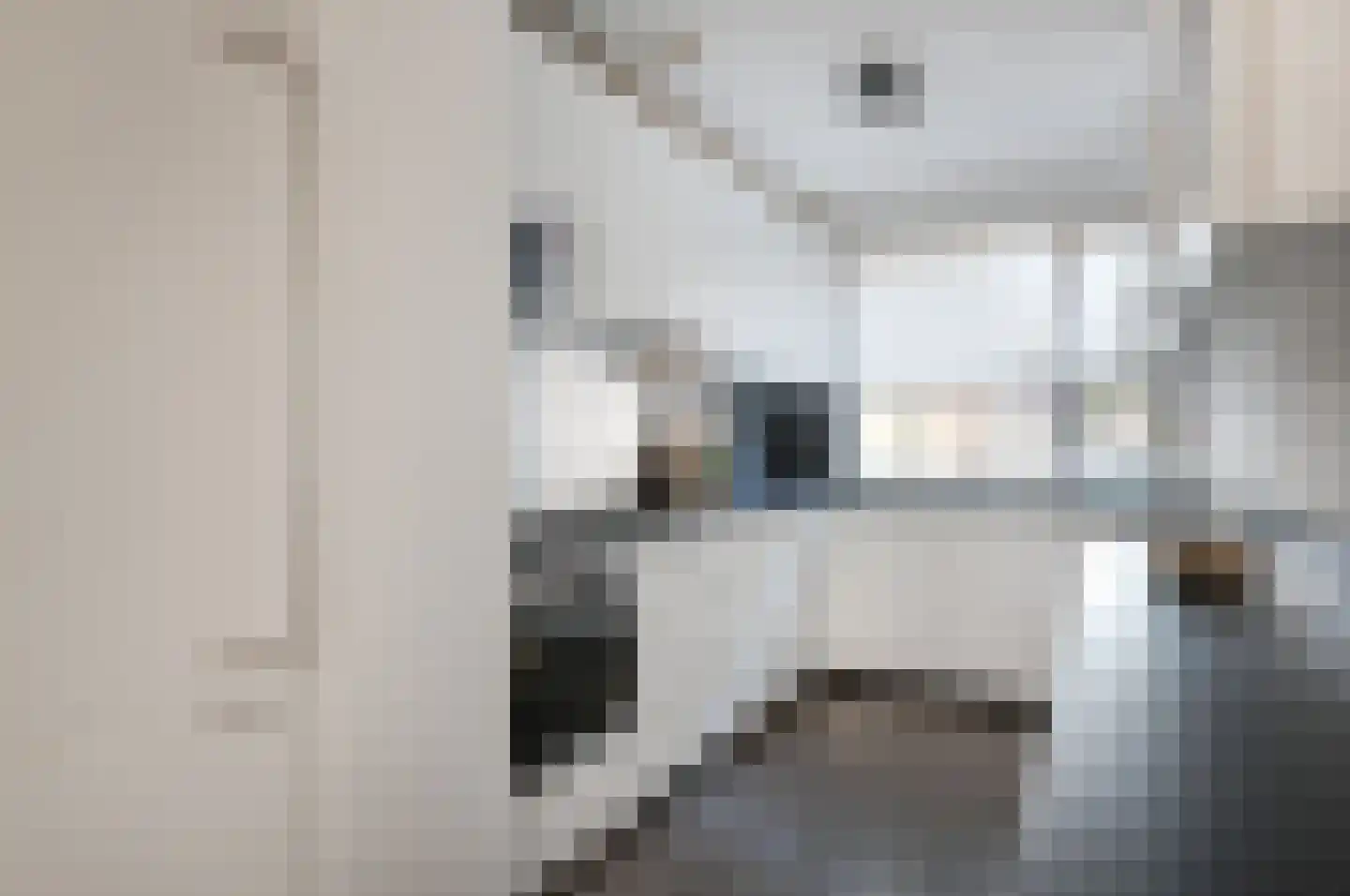 Romolenstraat 7 Haarlem thumbnail 10
