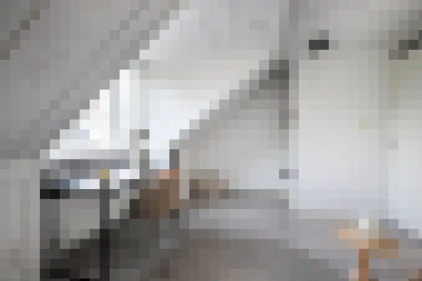 Romolenstraat 7 Haarlem thumbnail 23