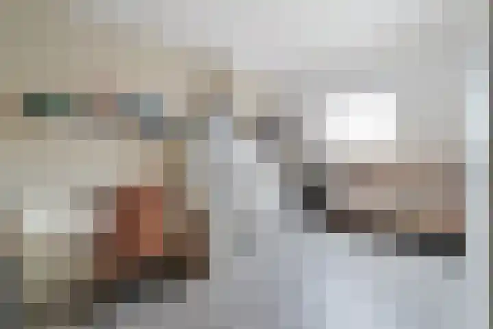 Romp 11 Middelburg thumbnail 17